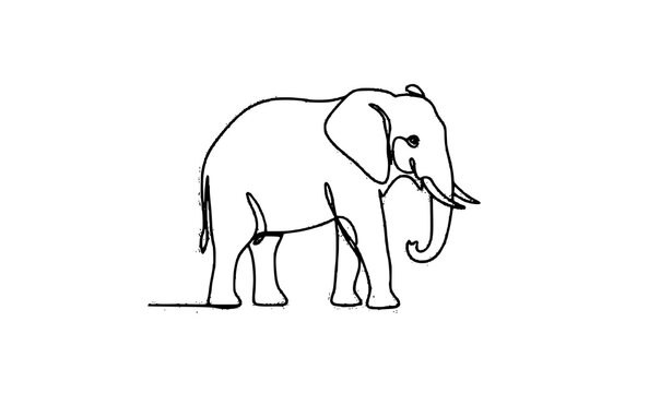 Minimal elephant single line art vector elegant black white illustration for World Elephant Day