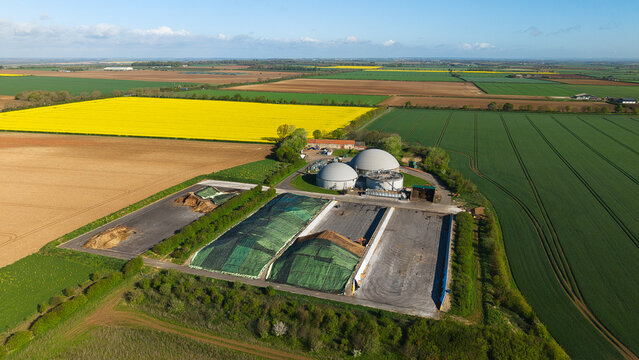 Aerial view of FBG Grange Farm Energy Spridlington biogas plant featuring large domes and silage clamps surrounded by yellow rapeseed fields in Market Rasen, England, United Kingdom.