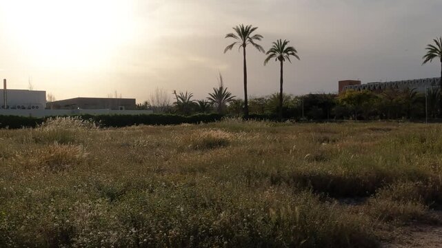 elX alicante espa&ntilde;a