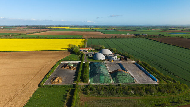 Aerial view of FBG Grange Farm Energy Spridlington biogas plant with domes and silage clamps surrounded by yellow rapeseed fields in Market Rasen, England, United Kingdom.