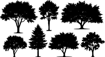 Obraz premium Summer trees silhouettes - Vector stock