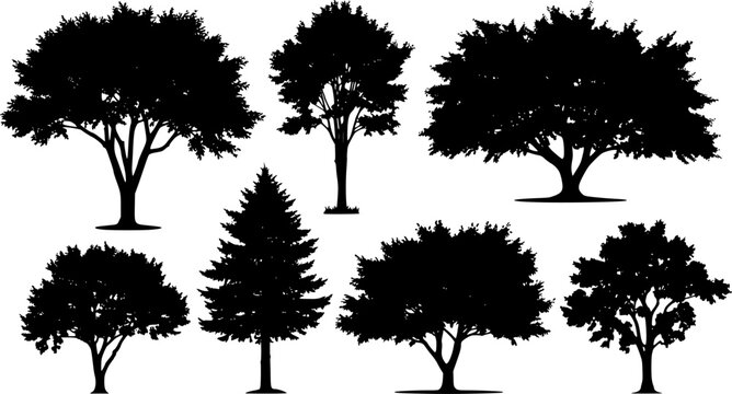 Summer trees silhouettes - Vector stock