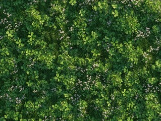 Fototapeta premium Lush Green Meadow with Wildflowers and Clovers in Springtime Setting