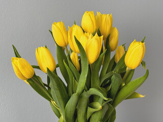 Naklejka premium Ein Strauß gelber Tulpen