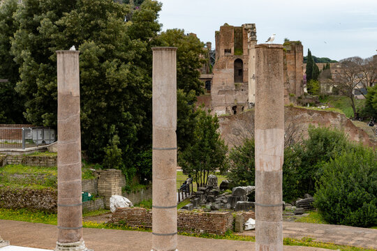 Architectural history in details of ruins, old buildings, walls, amfitheatres, arches in old part of Rome, dated from 300 BC, guided tours in Rome, Italy