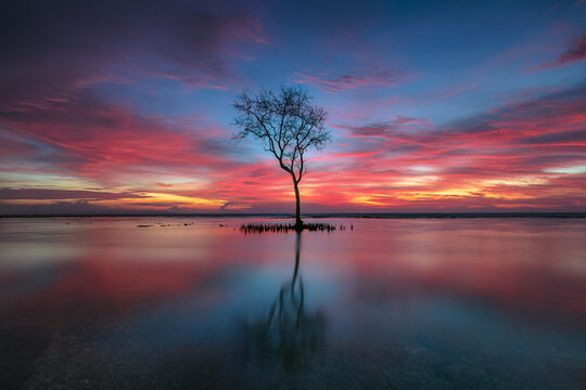 Surreal Long Exposure Reflection of a Lone Tree During a Vibrant Sunset at Anyer Beach