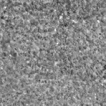 Old stone wall texture in black and white, ancient masonry background Height Map