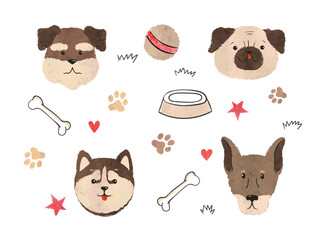 Cute dogs set. Vector canine illustration with pug, husky and terrier faces © Afanasia