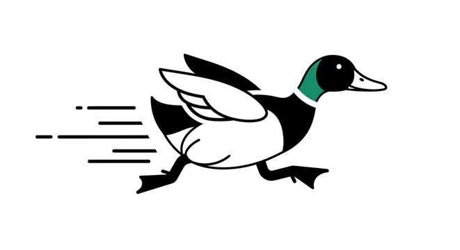 Running cartoon duck in motion fast.