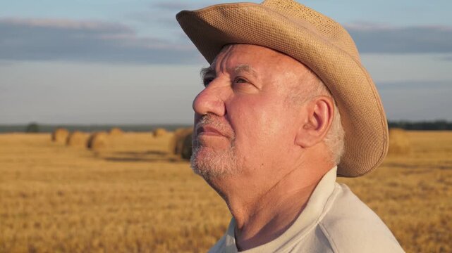 Portrait of pensive senior farmer in straw hat looking over mown wheat field with haystacks in the background at sunset. Old businessman expressing satisfaction with the successful harvest