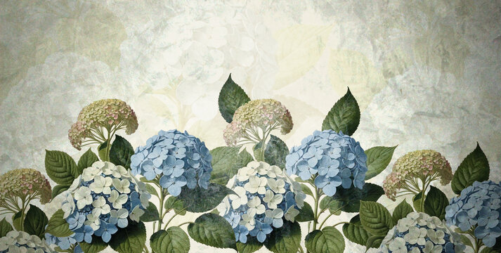 Large painted hydrangea flowers. The mural for the wall. Textile design. Flowers in the grunge style. Blue and white hydrangeas.