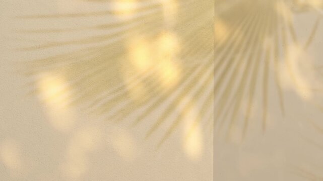 minimalist wall background with sun glare, tropical background with blurred silhouette shadow palm leaf, Minimal placement background, Creative product platform stage mockup, presentation