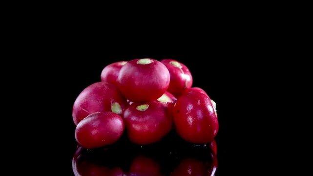 Fresh red radishes slowly rotating on a glossy reflective surface in studio lighting. Crisp organic root vegetables with green stems shown in clean close up food presentation.