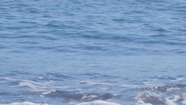 Atlantic Ocean waves crash gently on shore, warm Gulf Stream current, relaxing coastal scene, natural power, sea breeze, aquatic travel