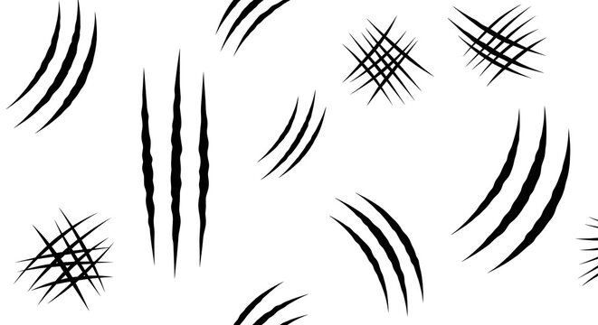 Abstract black claw marks on white background scratch texture pattern