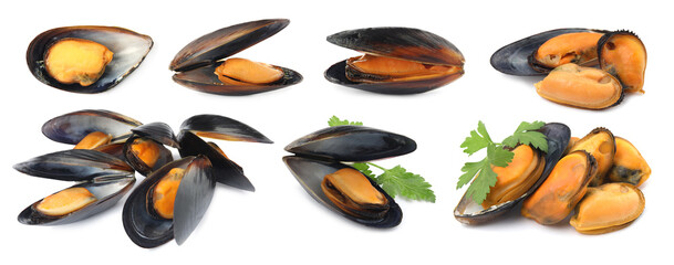 Fresh mussels isolated on white, collage. Sea food © New Africa