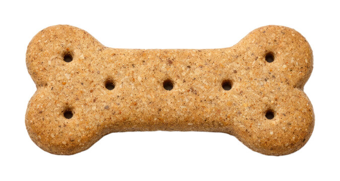 PNG Bone-shaped dog biscuit treat.