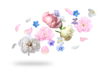 Beautiful flowers flying in air against white background © New Africa