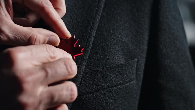 Man attaching red maple leaf pin to dark wool suit jacket label. Patriotic emblem for Canadian national holiday. Formal business attire accessory celebration.