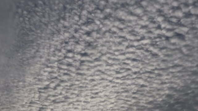 White altocumulus clouds drift slowly across a sunset sky, forming a textured pattern that covers the horizon. Calm real-time motion hints at changing weather conditions.