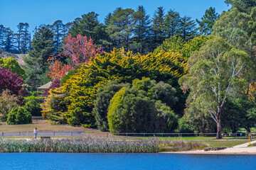 Obraz premium Autumn Day at Lake Canobolas