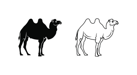 Obraz premium Camels Illustrated: Unique Bactrian vs Dromedary Guide Vector