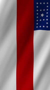 Vertical Amazonas Flag 4K Brazil State Pride Animation Flag Amazonas
