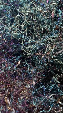 tangled, colorful metal shavings and industrial swarf with iridescent blue and purple heat-induced discoloration resulting from a machining process in a workshop, CNC or turning machine colorful metal