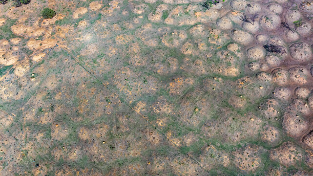 Murundu fields are geomorphological formations, with small convex mounds of earth up to 20 meters in diameter as groundwater recharge areas, they are threatened with extinction. Bras&iacute;lia, 2025