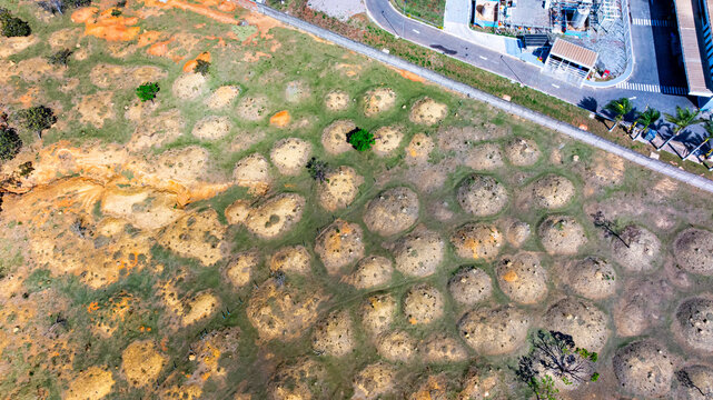 Murundu fields are geomorphological formations, with small convex mounds of earth up to 20 meters in diameter as groundwater recharge areas, they are threatened with extinction. Bras&iacute;lia, 2025