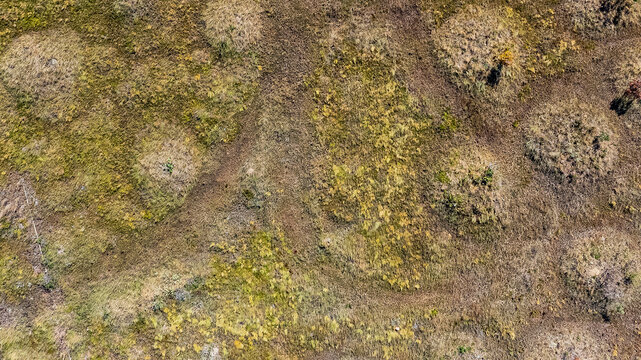 Murundu fields are geomorphological formations, with small convex mounds of earth up to 20 meters in diameter as groundwater recharge areas, they are threatened with extinction. Bras&iacute;lia, 2025