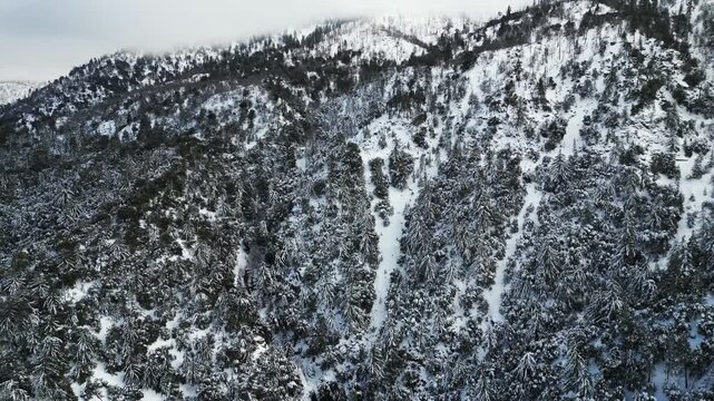 The California San Gorgonio San Bernardino Mountain Range near the Santa  Ana Watershed covered in snow along SR 38 through the Mountain Pass
