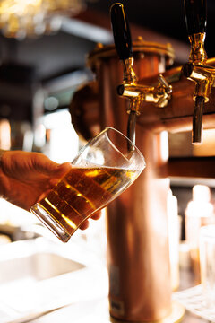 Pouring draft beer from tap into glass
Bartender pouring fresh beer in pub
Draft beer being poured from tap close up