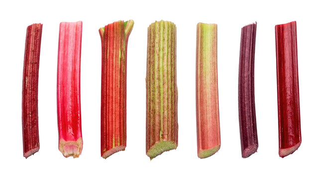 Rhubarb Stalks Variety Colors Isolated White Background