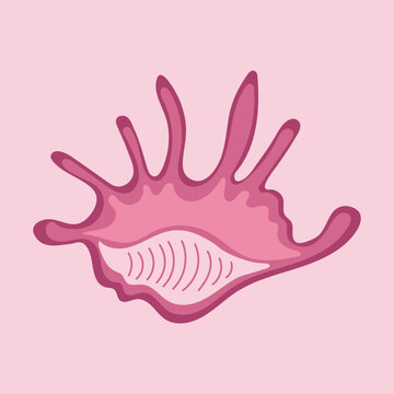 Flat vector illustration of a decorative seashell in pink tones in a modern style. Perfect for: nautical and beach designs, seamless patterns, summer social media posts, cosmetics.