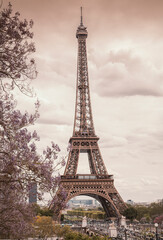 Obraz premium Tour eiffel, paris, france