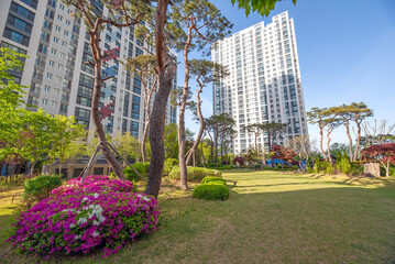 분홍색 철쭉꽃이 핀 정원이 보이는 고층아파트의 풍경, 충청북도 청주시에 위치 © Beautiful Korea