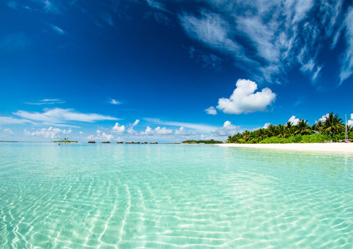 Caribean Sea