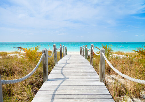 Blue Sea Path
