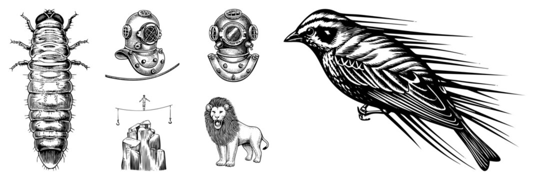 Intricate art depicting a larval insect, antique diving helmets, a soaring bird, roaring lion, and tightrope walker engraved illustrations, stippled etchings, vintage vector drawings.
