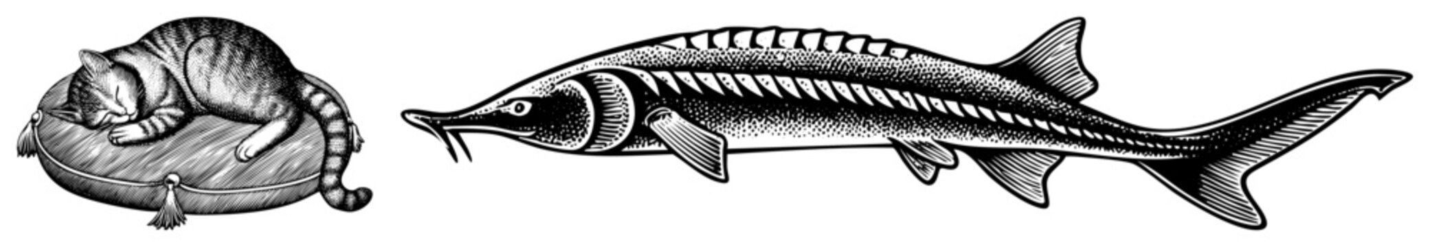 Napping domestic on plush pillow adjacent to elongated sturgeon, paddlefish relative, with whiskers and scaly texture rendered via stippling technique.