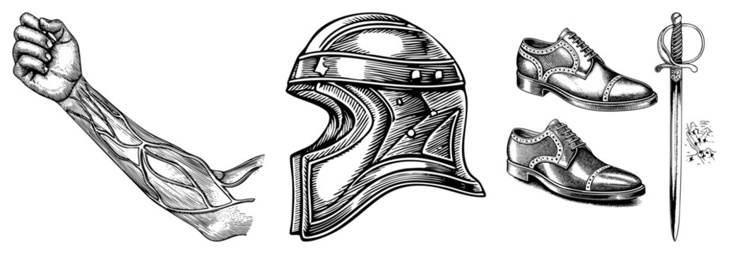 Human forearm anatomy with visible muscle groups, knight&rsquo;s sallet helmet, classic dress shoes, fencing rapier engraved art for educational or use.