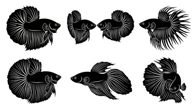 Black and White Siamese Fighting Fish Vector Art - Elegant Silhouette