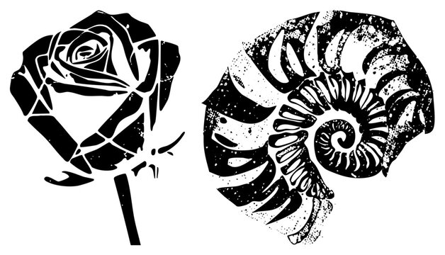 Distressed rose bloom paired with prehistoric ammonite, both rendered as high contrast vector silhouettes ideal for ink art,, or graphic.