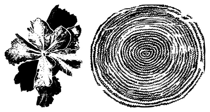 Stylized plant silhouette and concentric spiral, rendered in high contrast black and white halftone. Ideal for graphic design, print, or digital.