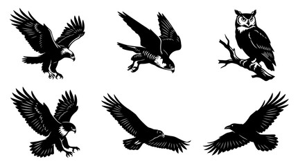 Fototapeta premium Black and White Vector Illustration of Birds of Prey in Flight