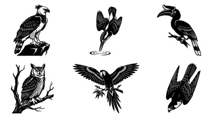Fototapeta premium Black and white vector illustration of six different birds