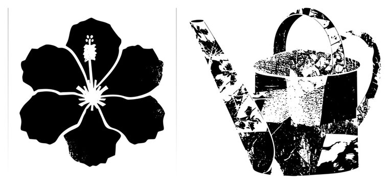 Tropical hibiscus bloom paired with rustic garden watering can, graphic element, botanical illustration, decorative silhouette set.