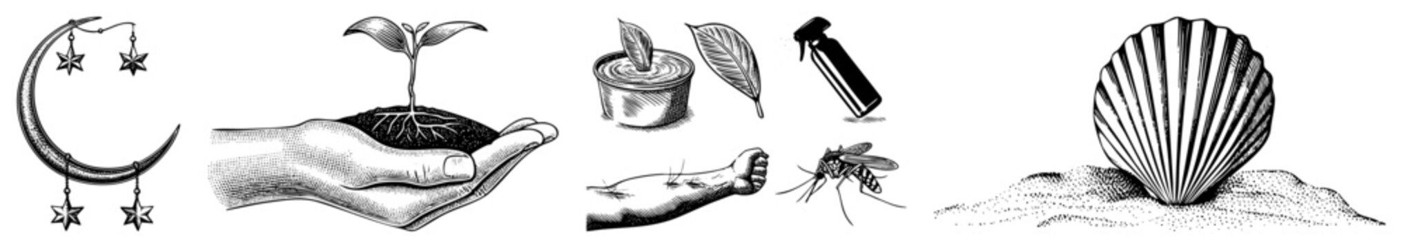 Stylized vector botanical/natural elements moon jewelry, hand holding plant, leaf bath, insect sting, on beach. nature motifs, eco symbols.