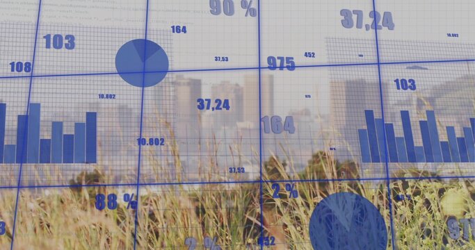 Displaying blue dashboard on multipane glass at meadow, showing charts, percentages, reeds, skyline